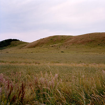 HILLS. GREEN. | scott suss